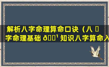 解析八字命理算命口诀（八 ☘ 字命理基础 🌹 知识八字算命入门）